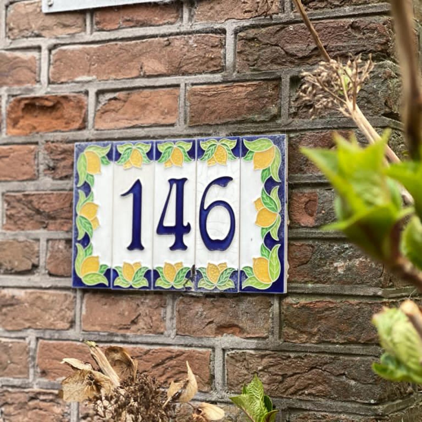 Huisarts Urk Amsterdam